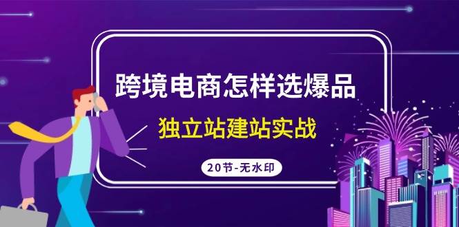 跨境电商怎样选爆品，独立站建站实战（20节高清无水印课）-宝籍资源