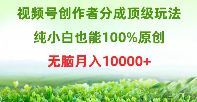 视频号创作者分成顶级玩法，纯小白也能100%原创，无脑月入10000+-宝籍资源