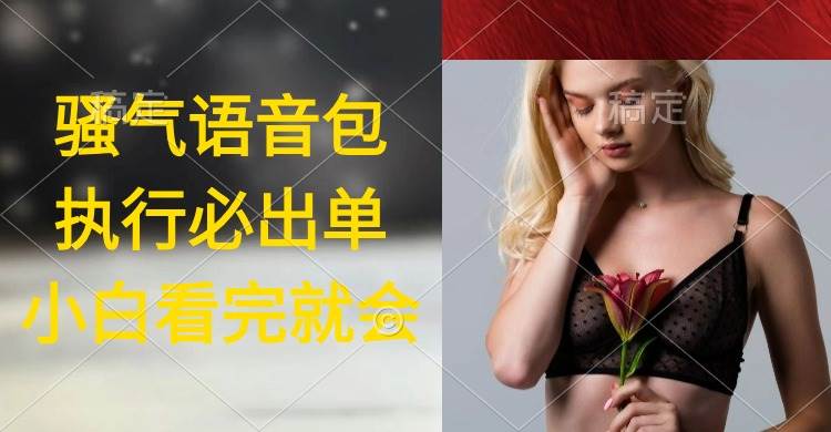 执行就出单，日入2000+，超火骚气语音包，小白看完课程就能马上实操-宝籍资源