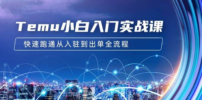 Temu小白入门实战课：跨境拼多多电商培训 快速跑通从入驻到出单全流程-12节-宝籍资源