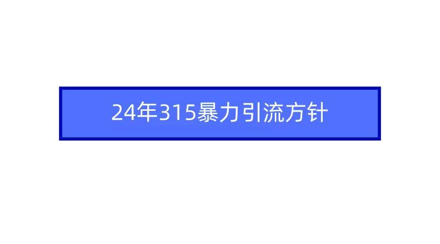 2024年315暴力引流方针-宝籍资源