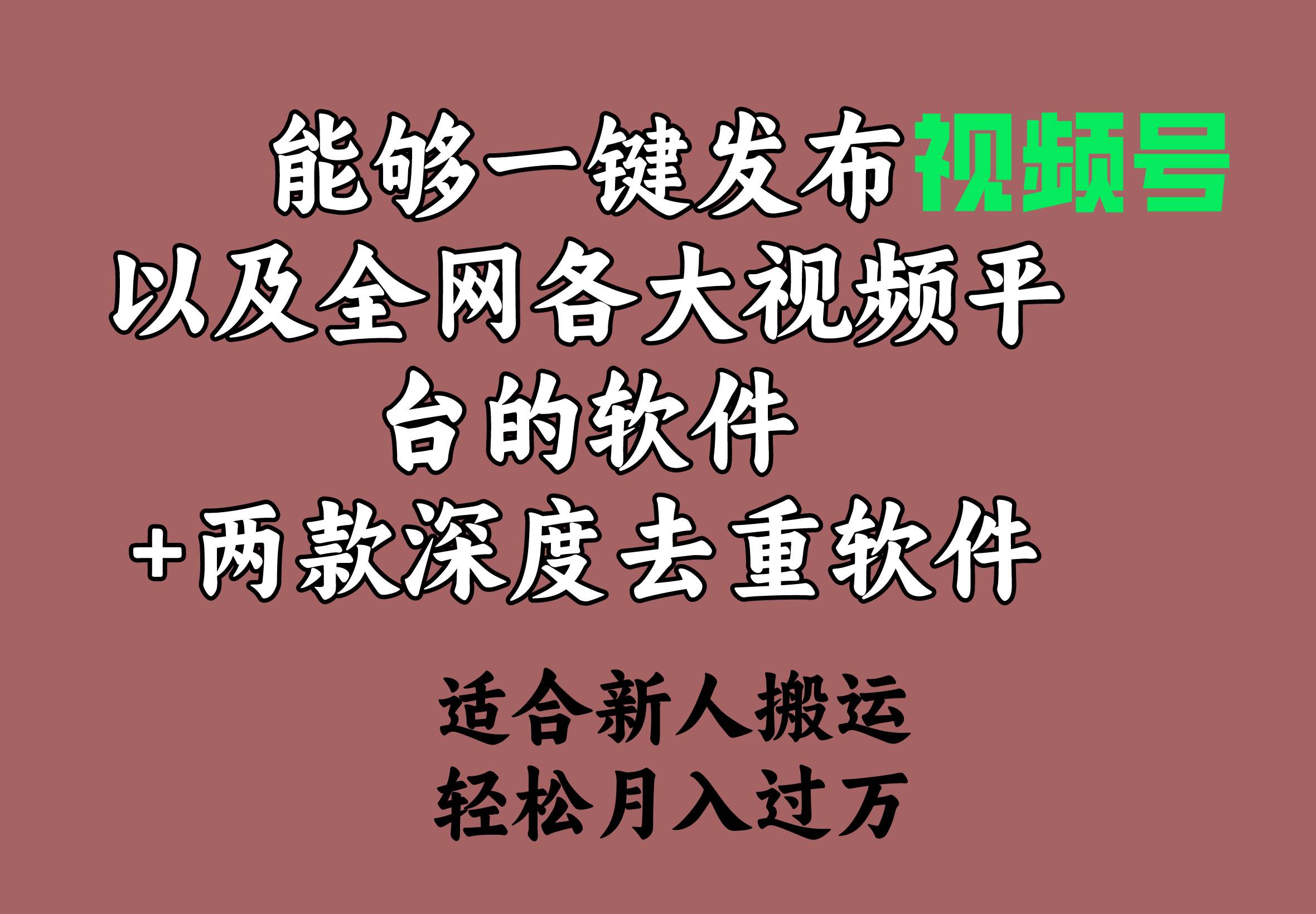 能够一键发布视频号以及全网各大视频平台的软件+两款深度去重软件 适合…-宝籍资源