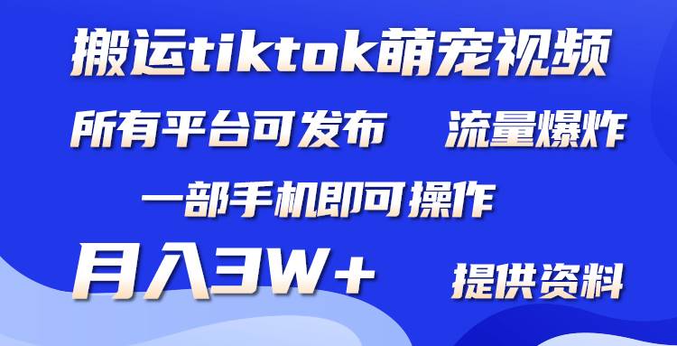 搬运Tiktok萌宠类视频，一部手机即可。所有短视频平台均可操作，月入3W+-宝籍资源