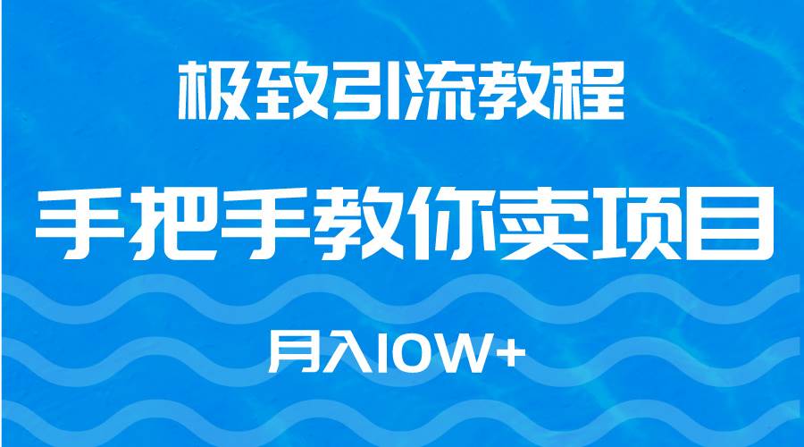 极致引流教程，手把手教你卖项目，月入10W+-宝籍资源