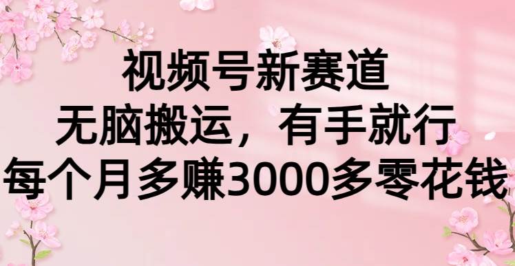 视频号新赛道，无脑搬运，有手就行，每个月多赚3000多零花钱-宝籍资源
