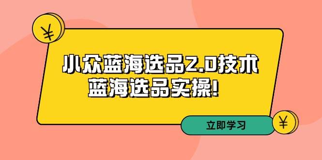 拼多多培训第33期：小众蓝海选品2.0技术-蓝海选品实操！-宝籍资源