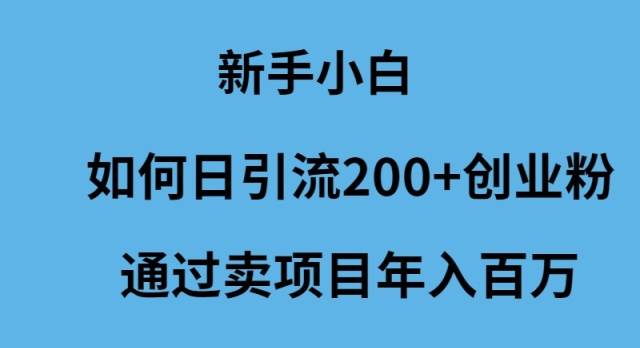 新手小白如何日引流200+创业粉通过卖项目年入百万-宝籍资源