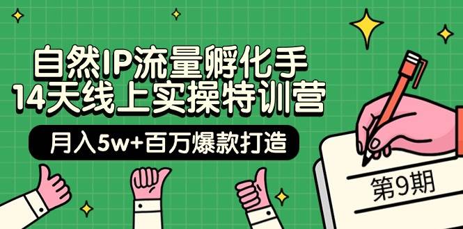 自然IP流量孵化手 14天线上实操特训营【第9期】月入5w+百万爆款打造 (74节)-宝籍资源