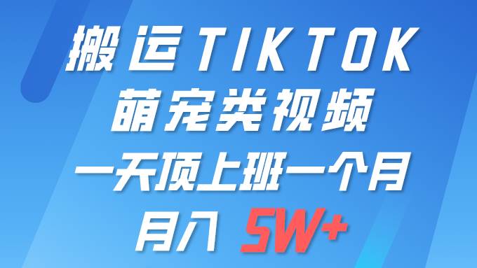 一键搬运TIKTOK萌宠类视频 一部手机即可操作 所有平台均可发布 轻松月入5W+-宝籍资源