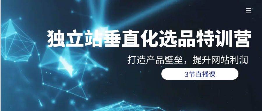 独立站-垂直化选品训练营，打造产品壁垒，提升网站利润（3节直播课）-宝籍资源