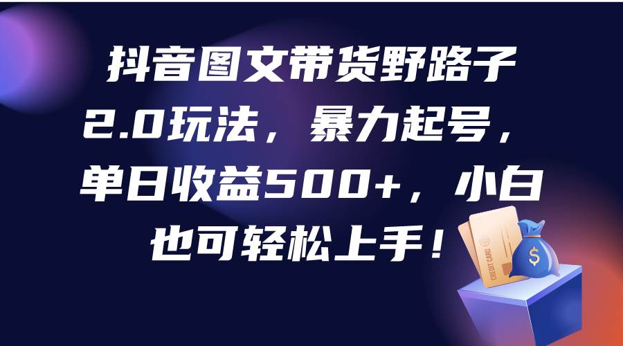 抖音图文带货野路子2.0玩法，暴力起号，单日收益500+，小白也可轻松上手！-宝籍资源