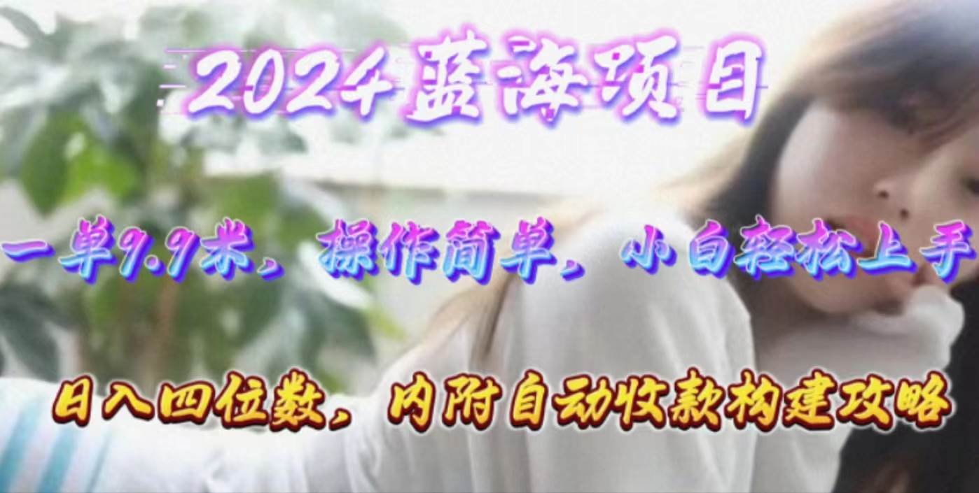 年轻群体的蓝海市场，1单9.9元，操作简单，小白轻松上手，日入四位数-宝籍资源