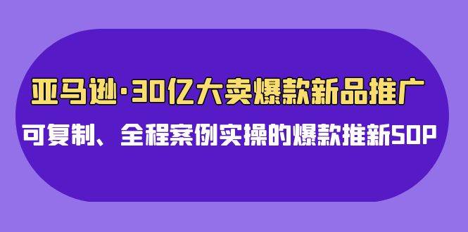 亚马逊30亿·大卖爆款新品推广，可复制、全程案例实操的爆款推新SOP-宝籍资源