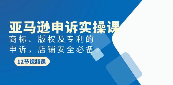亚马逊-申诉实战课，商标、版权及专利的申诉，店铺安全必备-宝籍资源