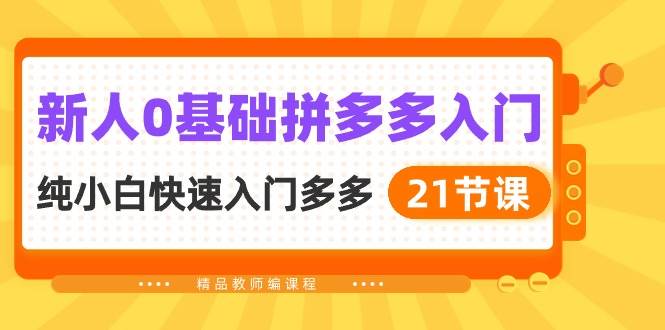 新人0基础拼多多入门，纯小白快速入门多多（21节课）-宝籍资源