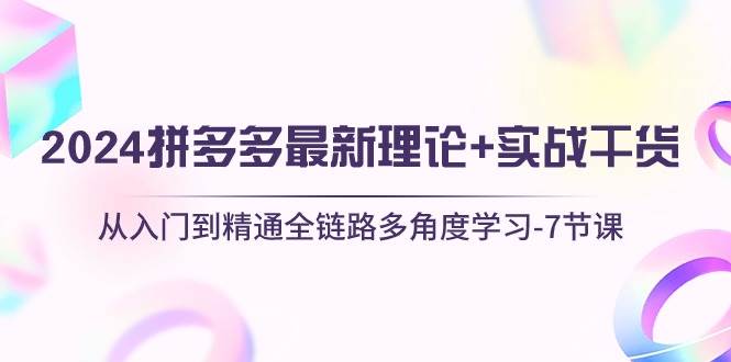 2024拼多多 最新理论+实战干货，从入门到精通全链路多角度学习-7节课-宝籍资源