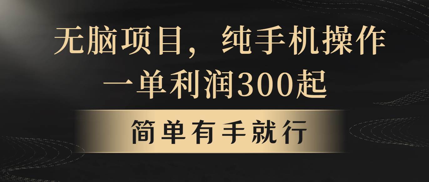 无脑项目，一单几百块，轻松月入5w+，看完就能直接操作-宝籍资源