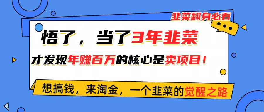 悟了，当了3年韭菜，才发现网赚圈年赚100万的核心是卖项目，含泪分享！-宝籍资源