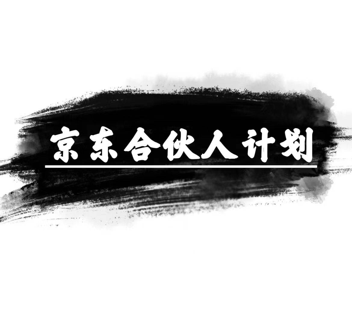 京东合伙人计划，轻松月入过万，赚钱项目，只需复制粘贴，小白也能做。-宝籍资源