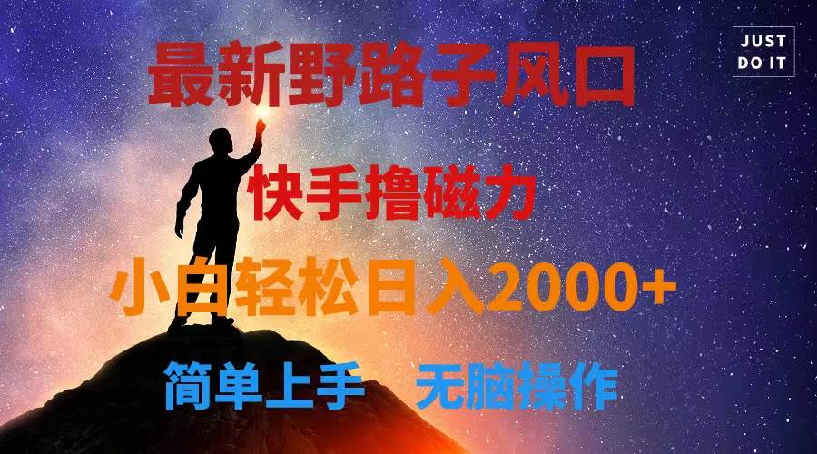 最新风口！快手撸磁力，野路子，小白无脑操作日入2000+-宝籍资源