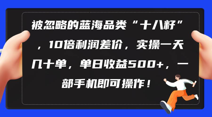 被忽略的蓝海品类“十八籽”，10倍利润差价，实操一天几十单 单日收益500+-宝籍资源