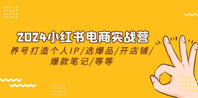 2024小红书电商实战营，养号打造IP/选爆品/开店铺/爆款笔记/等等（24节）-宝籍资源