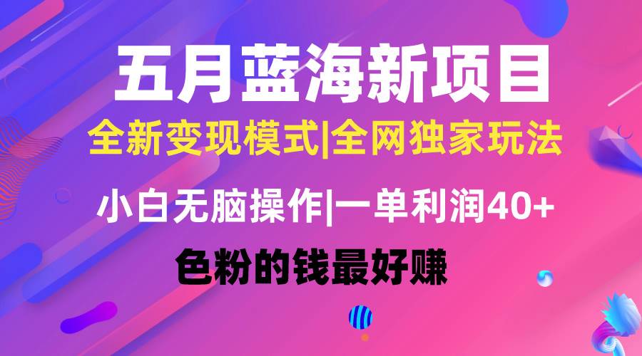 五月蓝海项目全新玩法，小白无脑操作，一天几分钟，矩阵操作，月入4万+-宝籍资源