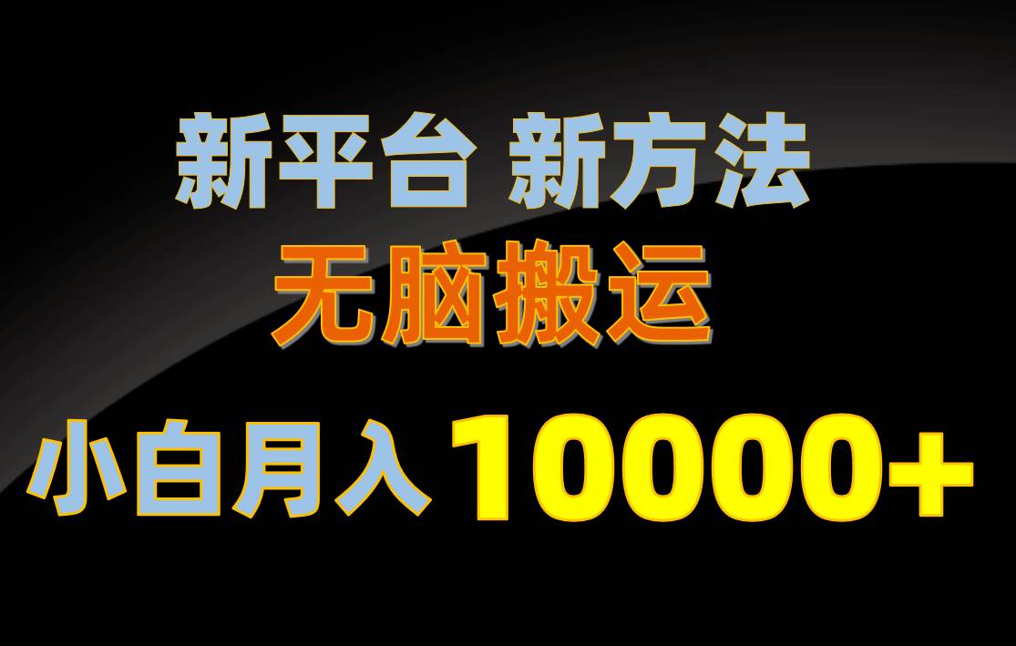 新平台新方法，无脑搬运，月赚10000+，小白轻松上手不动脑-宝籍资源