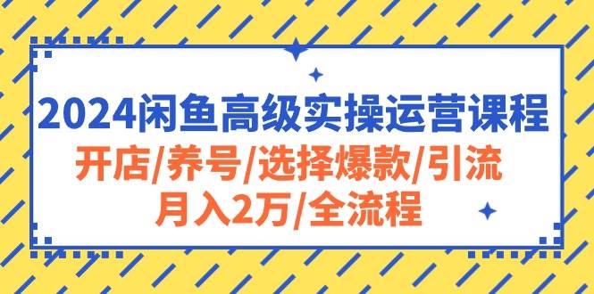 2024闲鱼高级实操运营课程：开店/养号/选择爆款/引流/月入2万/全流程-宝籍资源