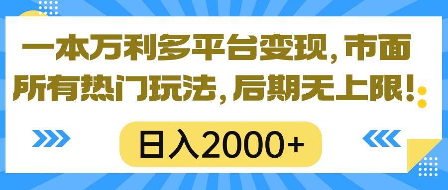 一本万利多平台变现，市面所有热门玩法，日入2000+，后期无上限！-宝籍资源