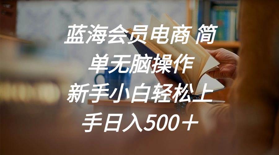 蓝海会员电商 简单无脑操作 新手小白轻松上手日入500＋-宝籍资源