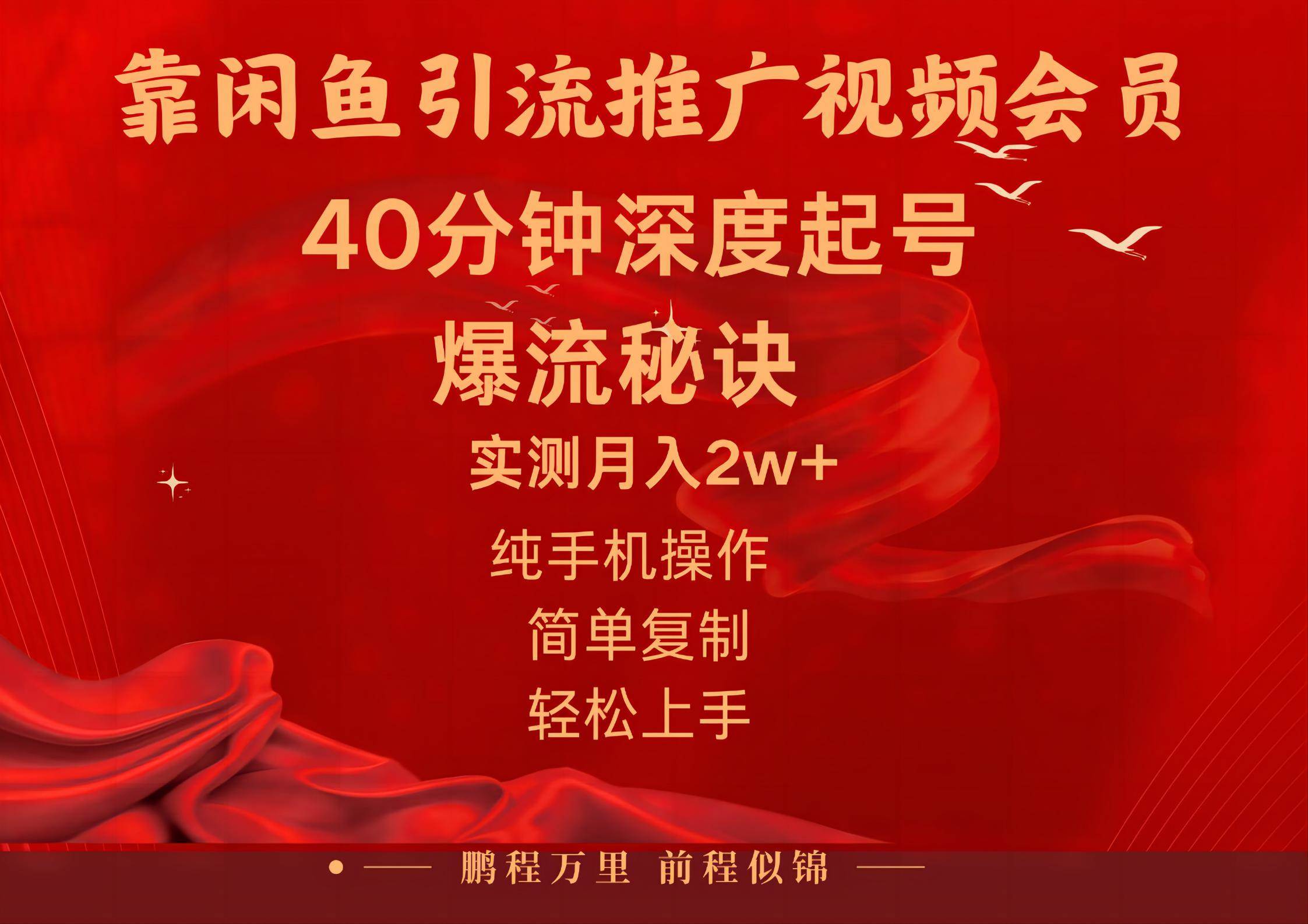 闲鱼暴力引流推广视频会员，能做到日入2W+，操作简单-宝籍资源