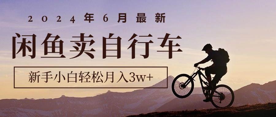 2024年6月最新闲鱼卖自行车，新手小白轻松月入3w+项目-宝籍资源