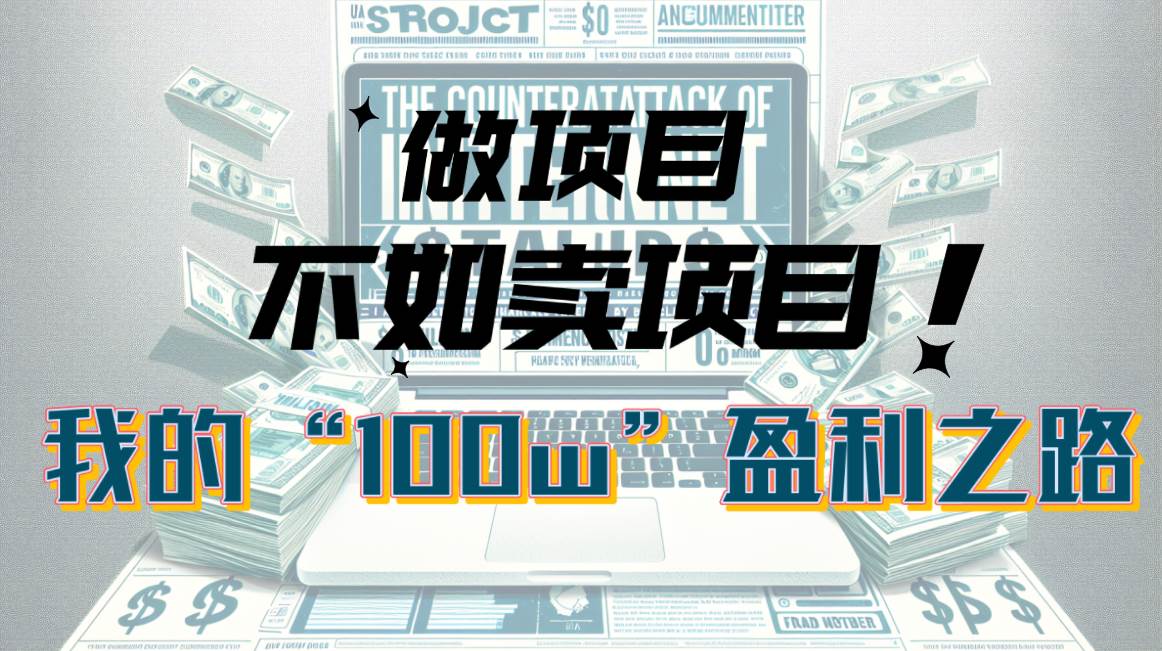 为什么做项目不如卖项目？我的100W+盈利之路-宝籍资源