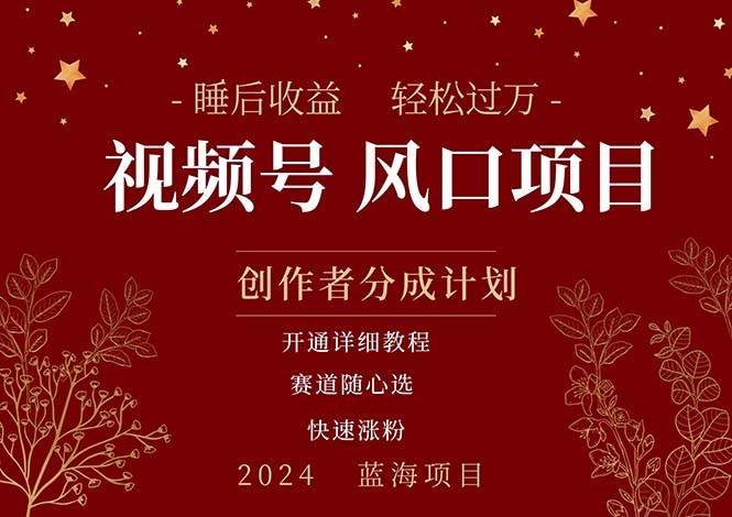 拥有睡眠收益的微信视频号大风口项目，轻松月入过万+，多赛道选择，可…-宝籍资源