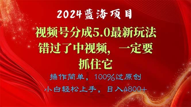 2024蓝海项目，视频号分成计划5.0最新玩法，错过了中视频，一定要抓住…-宝籍资源