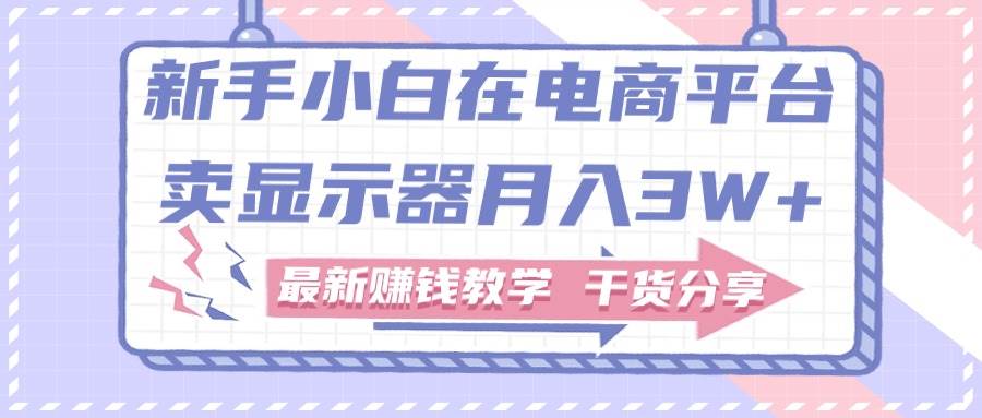 新手小白如何做到在电商平台卖显示器月入3W+，最新赚钱教学干货分享-宝籍资源