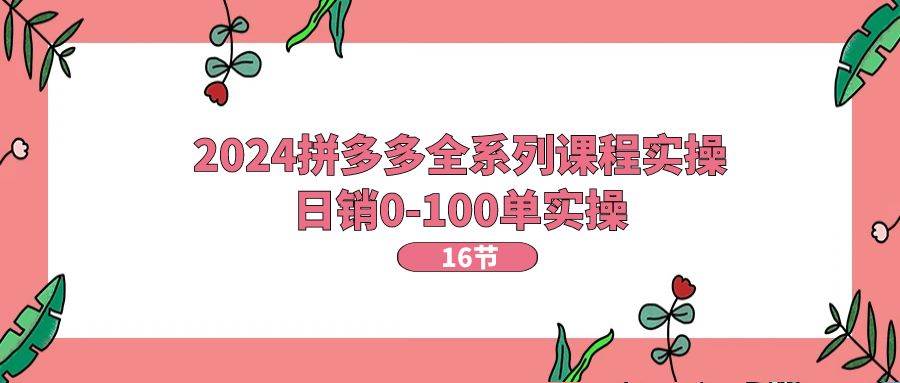2024拼多多全系列课程实操，日销0-100单实操【16节课】-宝籍资源
