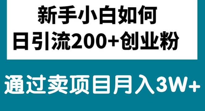 新手小白日引流200+创业粉,通过卖项目月入3W+-宝籍资源