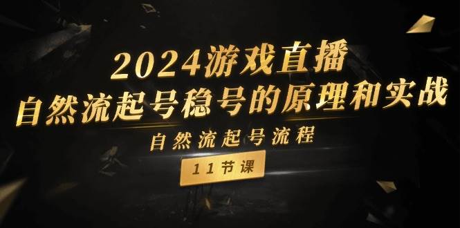 2024游戏直播-自然流起号稳号的原理和实战，自然流起号流程（11节）-宝籍资源