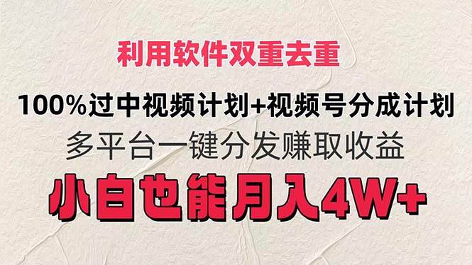 利用软件双重去重，100%过中视频+视频号分成计划小白也可以月入4W+-宝籍资源