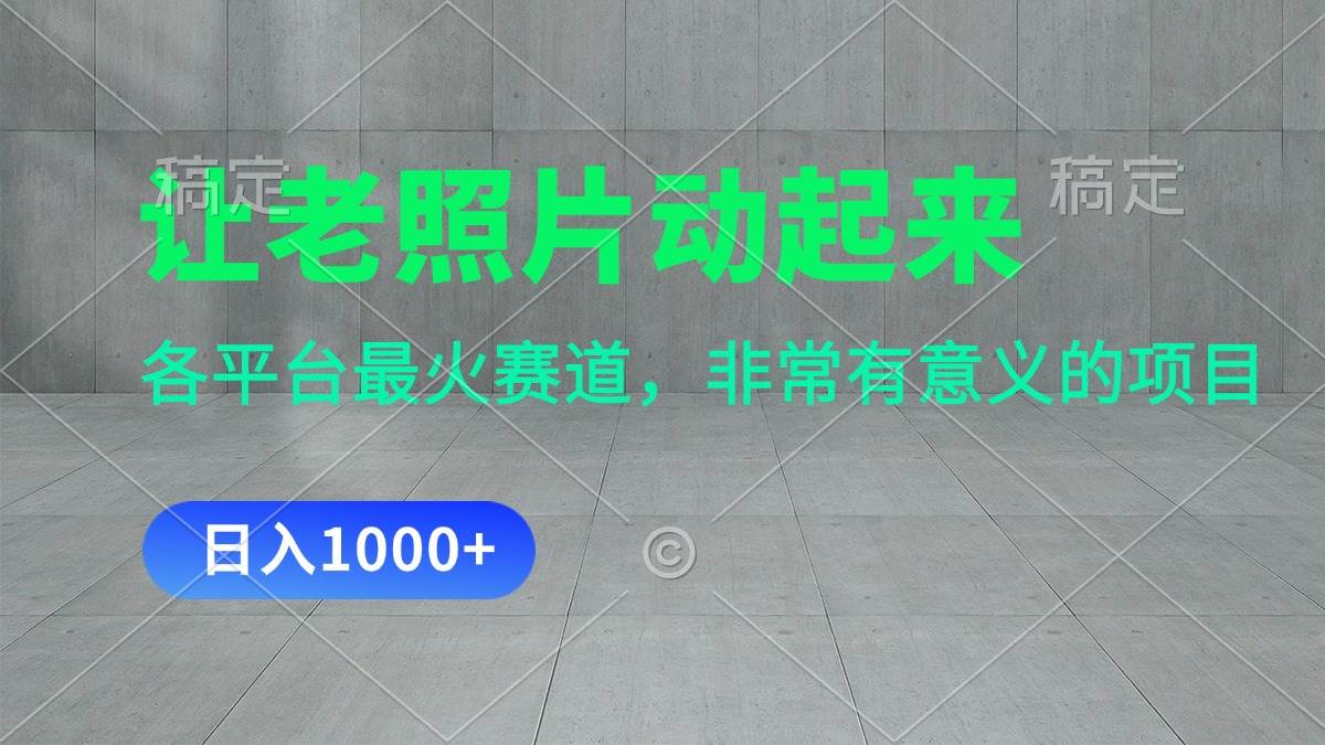 让老照片动起来，一天变现1000+，各平台最火赛道，看完就会-宝籍资源