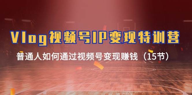Vlog 视频号IP变现特训营，普通人如何通过视频号变现赚钱（15节）-宝籍资源