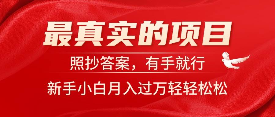 最真实的项目，照抄答案，有手就行，新手小白月入过万轻轻松松-宝籍资源