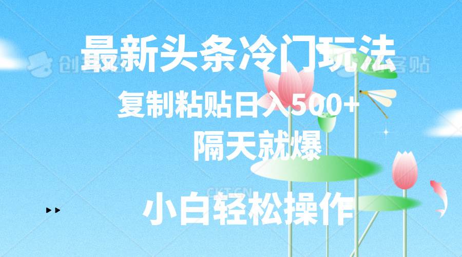 最新头条冷门玩法，隔天就爆，复制粘贴日入500+-宝籍资源