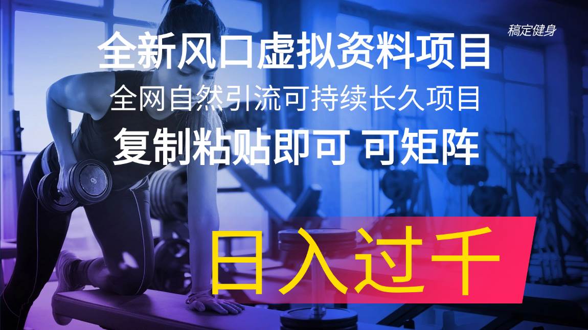 全新风口虚拟资料项目 全网自然引流可持续长久项目 复制粘贴即可可矩阵…-宝籍资源