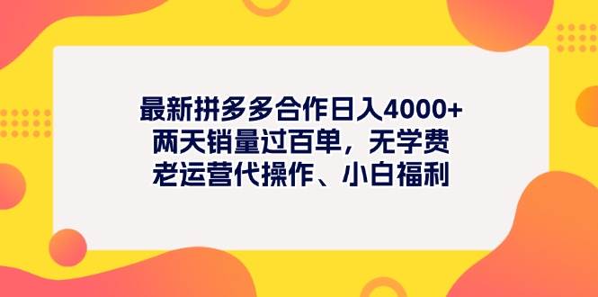 最新拼多多项目日入4000+两天销量过百单，无学费、老运营代操作、小白福利-宝籍资源