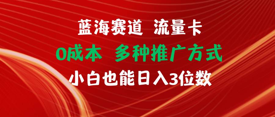 蓝海赛道 流量卡 0成本 小白也能日入三位数-宝籍资源