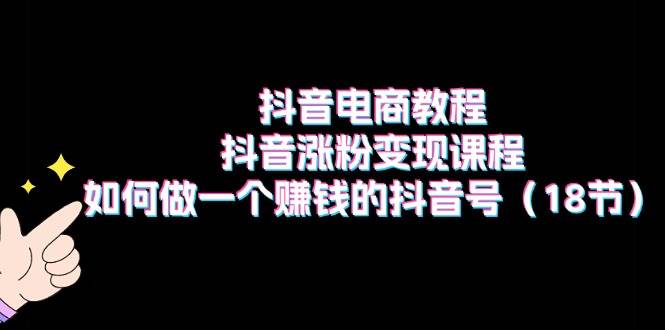 抖音电商教程：抖音涨粉变现课程：如何做一个赚钱的抖音号（18节）-宝籍资源