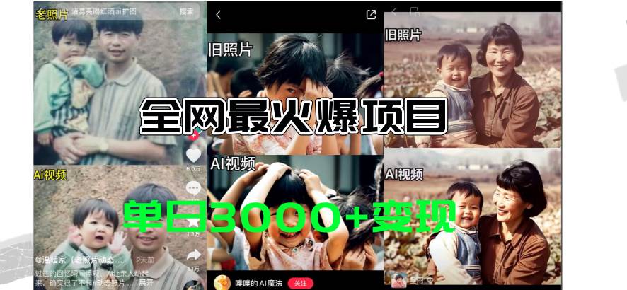 全网爆火的AI让老照片动起来教程，蹭热点日赚3000+，内含免费工具一键…-宝籍资源